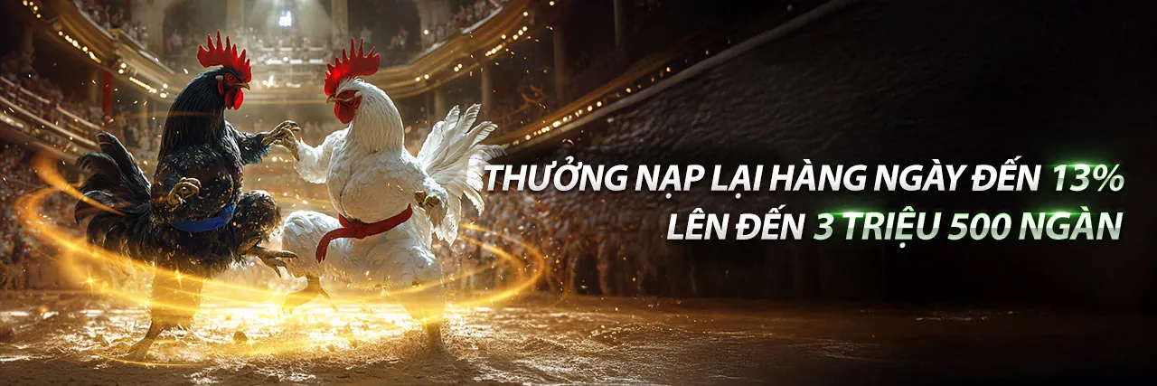 Đá Gà Trực Tiếp Gà Sinh Đôi - Trải nghiệm cá cược đỉnh cao tại Win2026VN